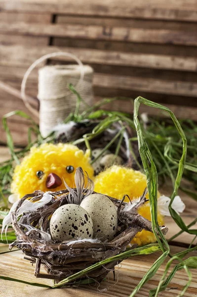 Gniazdo z jajkami przepiórczymi i laska — Zdjęcie stockowe