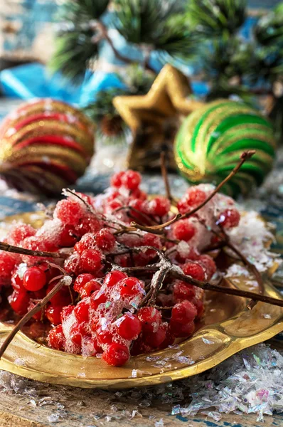 Kalina en Kerstmis decoratie — Stockfoto