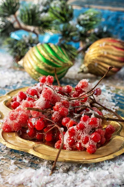 Kalina en Kerstmis decoratie — Stockfoto