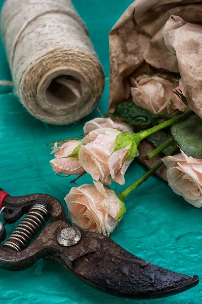 Trädgård verktyg och färska rosor — Stockfoto