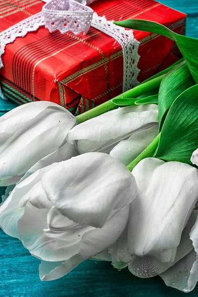 Presente para o seu fundo favorito tulipas — Fotografia de Stock