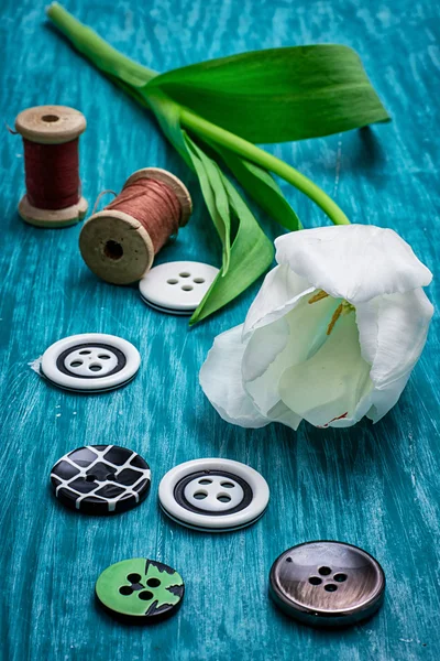 One white tulip and buttons with threads — Stock Photo, Image