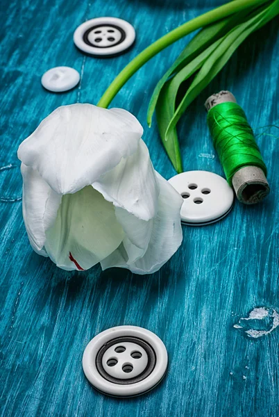 One white tulip and buttons with threads — Stock Photo, Image