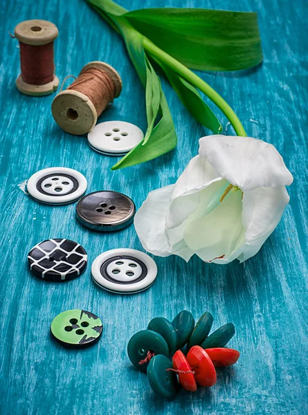 One white tulip and buttons with threads — Stock Photo, Image