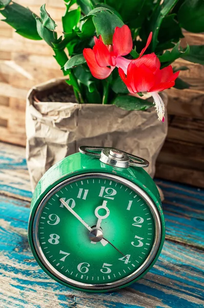 Symbol hodin jarní zelené a kvetoucí květiny — Stock fotografie