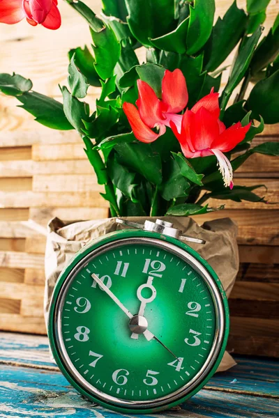 Symbol of spring green clock and blossoming flower — Stock Image Symbol of spring green clock and blossoming flower Stock Picture
