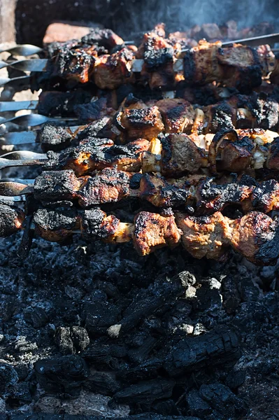 A kihalt füstölgő tűz shish kebab — Stock Fotó