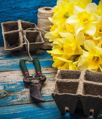 Bahçe aletleri ve kesme nergis