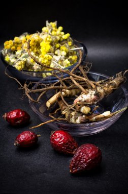 Rose hips ve halk Hekimliği