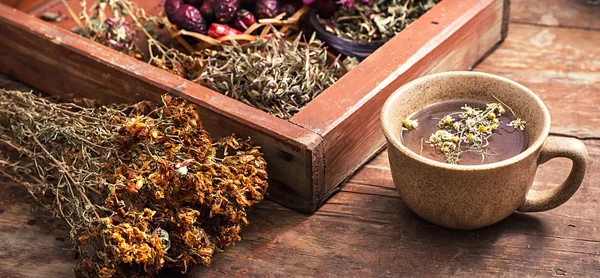 Chá fabricado com camomila em canecas de cerâmica — Fotografia de Stock