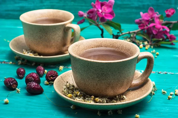 Té elaborado con manzanilla en tazas de cerámica — Foto de Stock