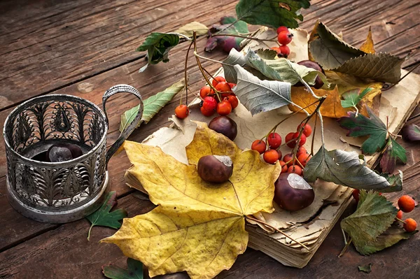Podzim listí — Stock fotografie