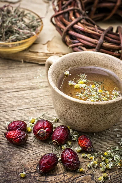 Healing broth — Stock Photo, Image