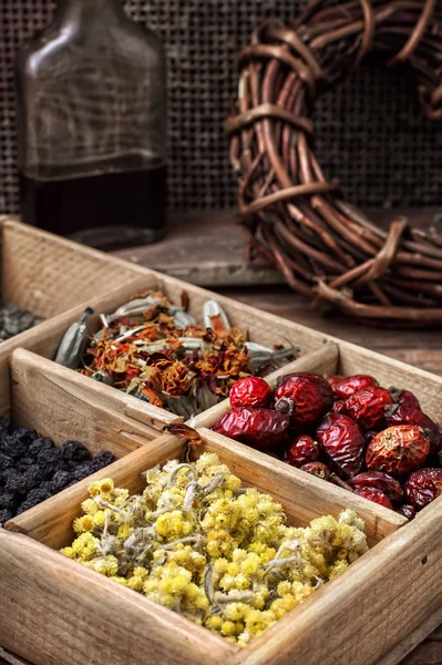 Collected and dried herbs doctor — Stock Photo, Image