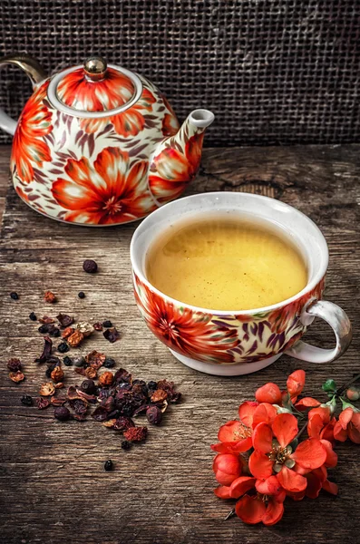 Xícara de porcelana de chá perfumado para ervas medicinais — Fotografia de Stock