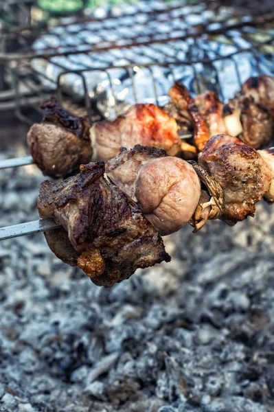 Barbecue al picnic — Foto Stock