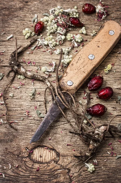 Erbe medicinali e radici — Foto Stock