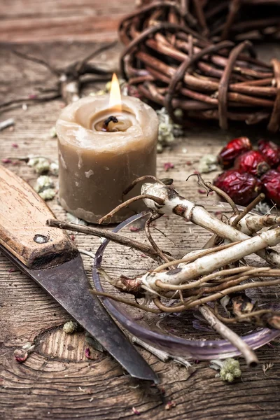 Şifalı otlar ve kökleri — Stok fotoğraf