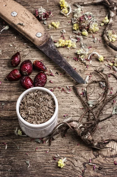 Erbe medicinali e radici — Foto Stock