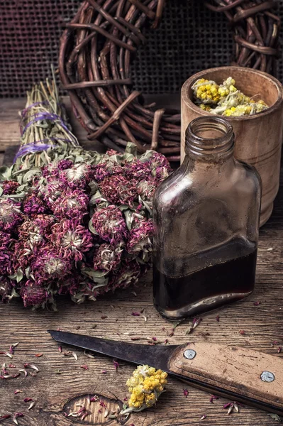 Elixir poción de hierbas — Foto de Stock
