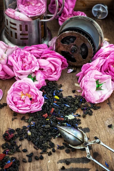 Rosa di tè — Foto Stock