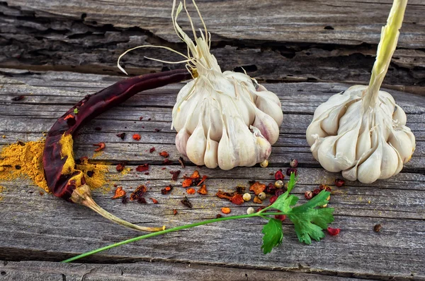 Würzige Gewürze — Stockfoto