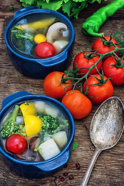 Summer soup with fresh vegetables — Stock Photo, Image