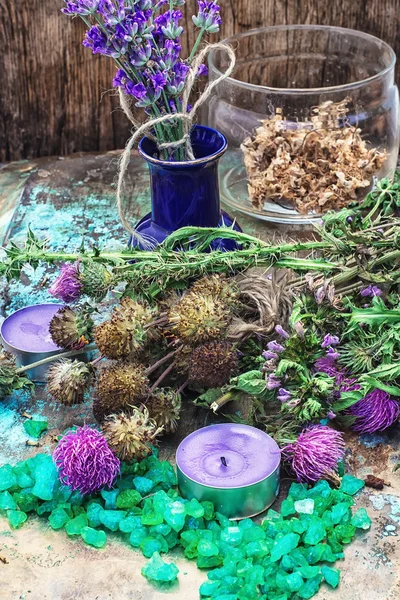 Conjunto de perfumes para tratamentos de spa — Fotografia de Stock