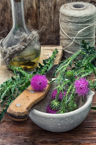 Pflanzliche Medizin — Stockfoto