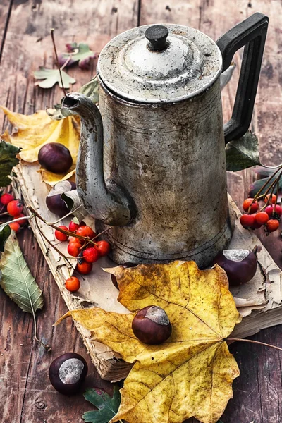 Bodegón de otoño — Foto de Stock