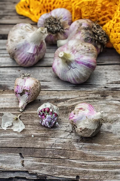 Knoblauch — Stockfoto