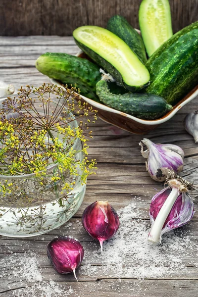 Gezouten komkommer — Stockfoto