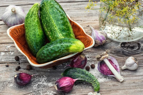 Gezouten komkommer — Stockfoto