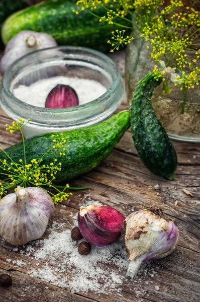 Gesalzene Gurken — Stockfoto