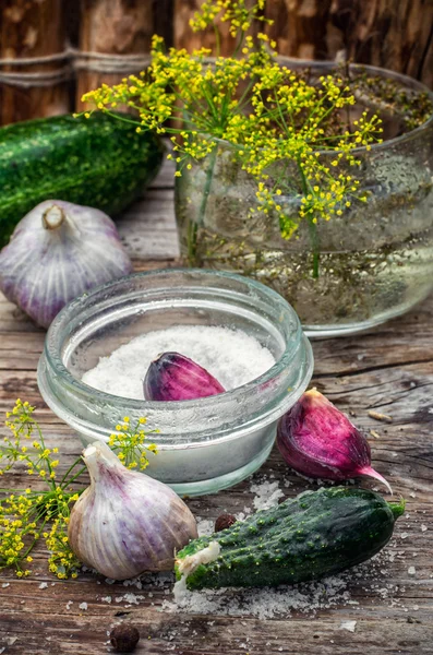 Salted cucumber — Stock Image Salted cucumber Stock Image