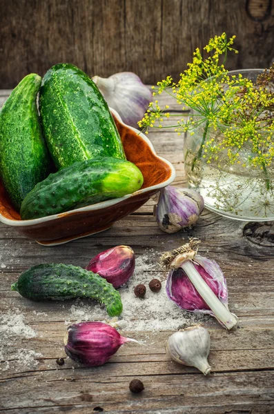 Gezouten komkommer — Stockfoto