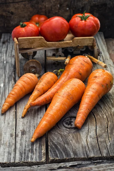 Autumn harvest vegetables — Stock Photo, Image