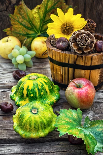 Still life with autumn squash — Stock Photo, Image