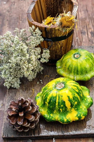 Bodegón con calabaza de otoño —  Fotos de Stock