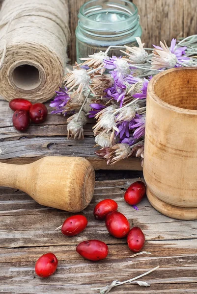 Bagas de milho com arbusto medicinal herbáceo — Fotografia de Stock