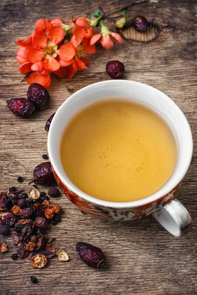 香り豊かな紅茶 1 杯 — ストック写真