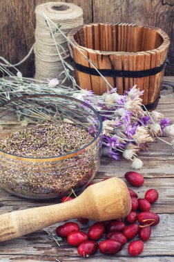 Cornel çilek otsu tıbbi çalı ile