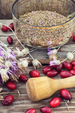 Cornel çilek otsu tıbbi çalı ile