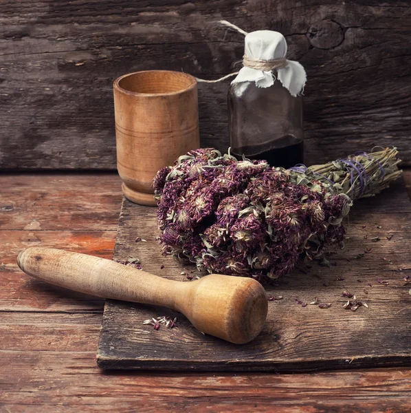 Harvesting of medicinal herbs — Stock Photo, Image