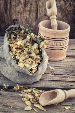 hasat hop koniler kesim