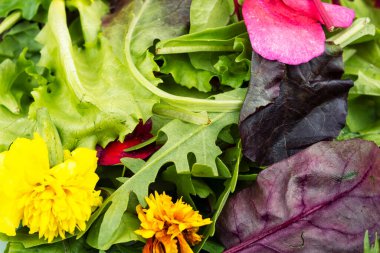 Zarif çiçek salatası, yenilebilir çiçeklerle süslenmiş renkli çiçek salatası..