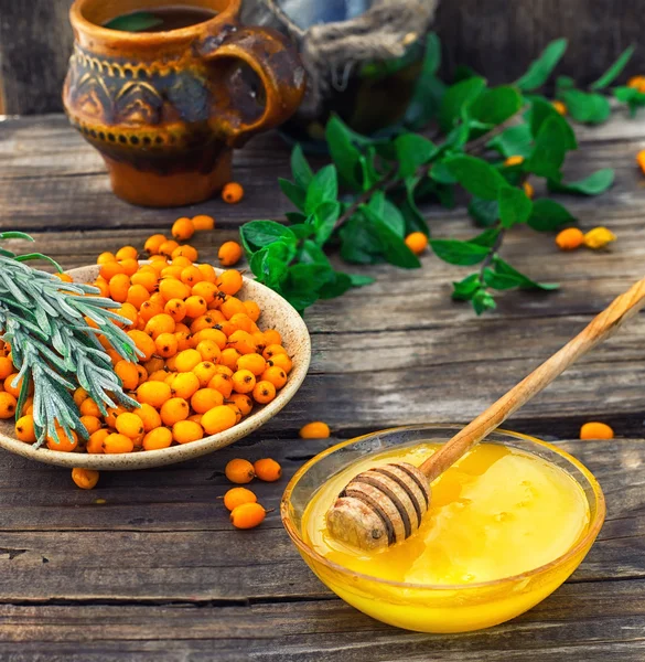 Cehri çilek kaynatma tıbbi