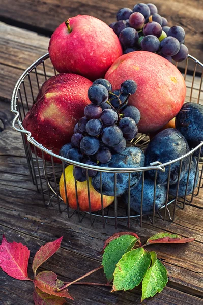 Herbstliche rote Äpfel — Stockfoto