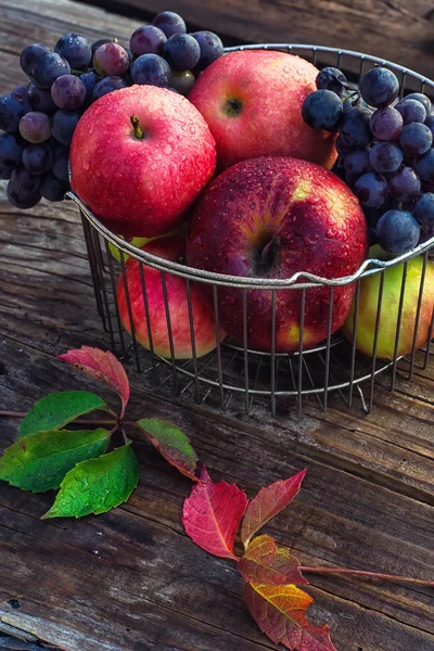 Herbstliche rote Äpfel — Stockfoto