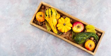 Bu canlı balkabağı, elma ve sonbahar yaprakları, festivaller ve mevsimsel kutlamalarla sonbahar..